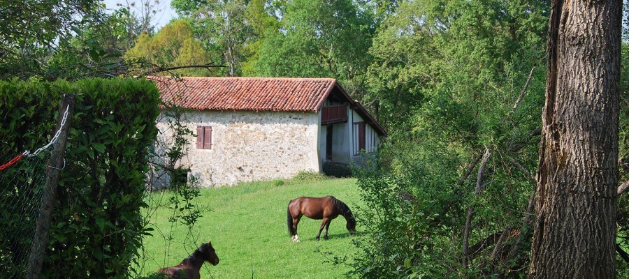Camping à La Ferme Cambo Les Bains