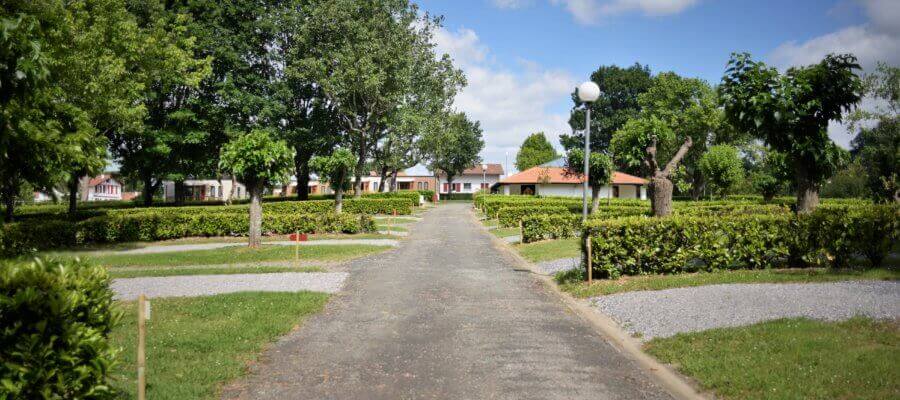 allée de camping Cambo les bains